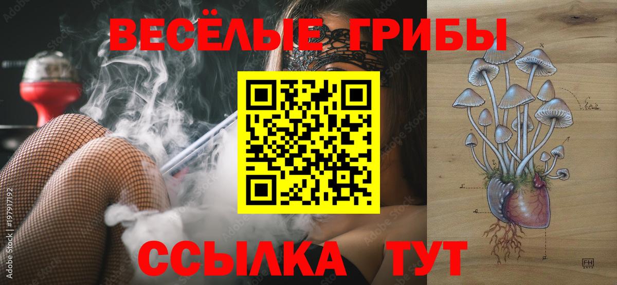 Галлюциногенные грибы Psilocybe  Псилоцибиновые грибы ЛСД  Печора  Вход с VPN 